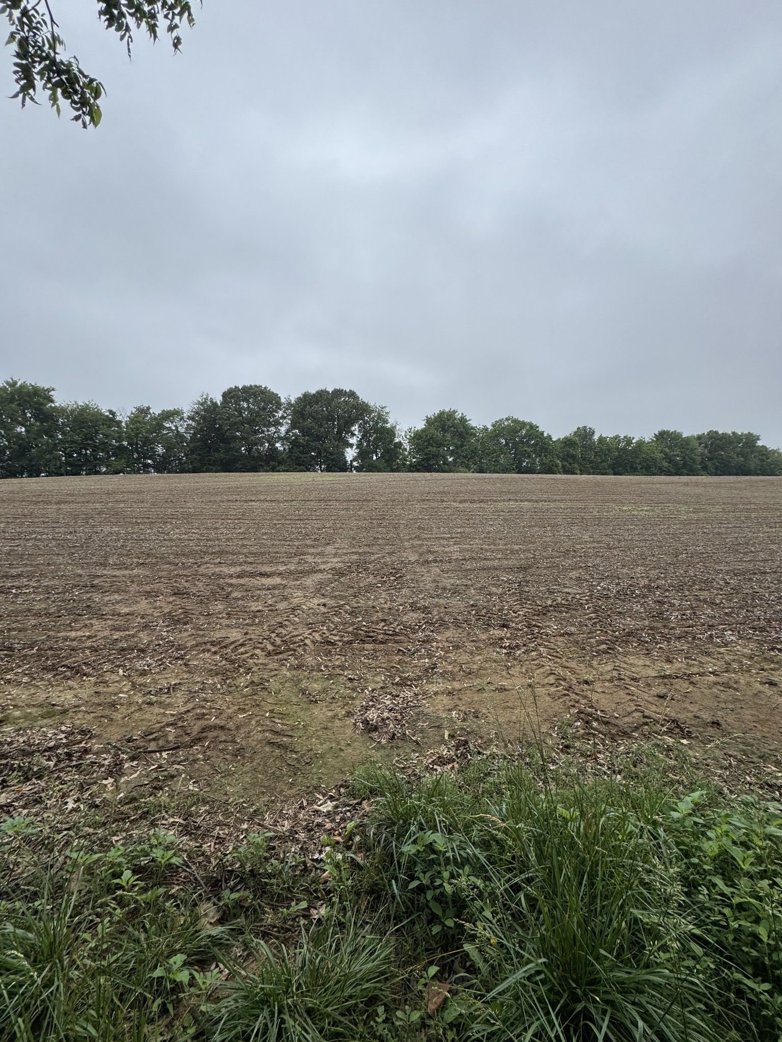 325 Harts Mill Road Atwood, TN 38220 - Photo 3 of 44