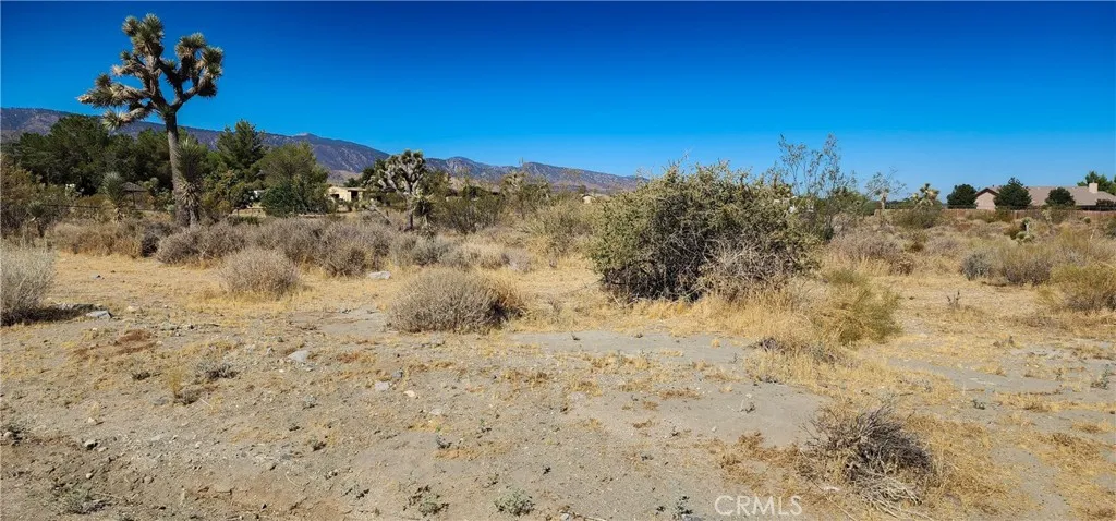 1 Evergreen Road Pinon Hills, CA 92372 - Photo 22 of 45 Gallery Image 22