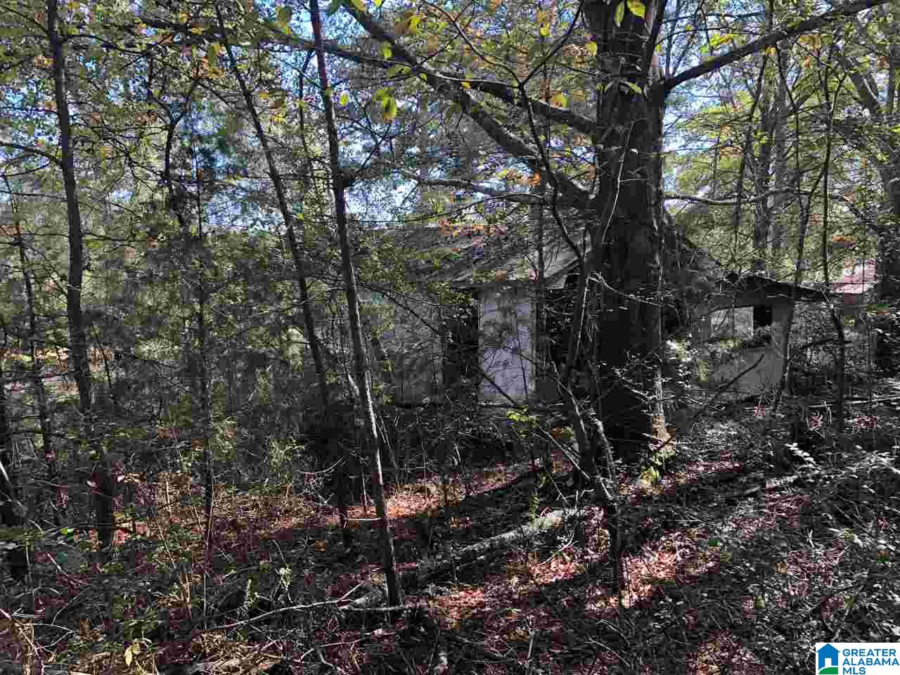 980 Turner Road, Unit ADJOINING PARCELS Anniston, AL 36201 - Photo 15 of 17