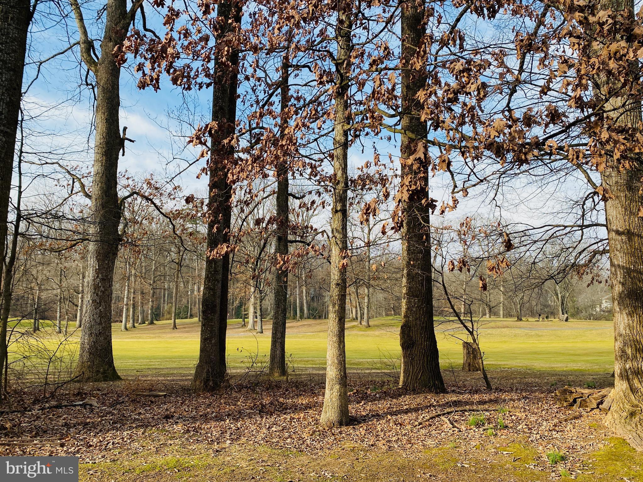 2158 Glencourse Lane Reston, VA 20191 - Photo 13 of 31 View of golf course from home/deck