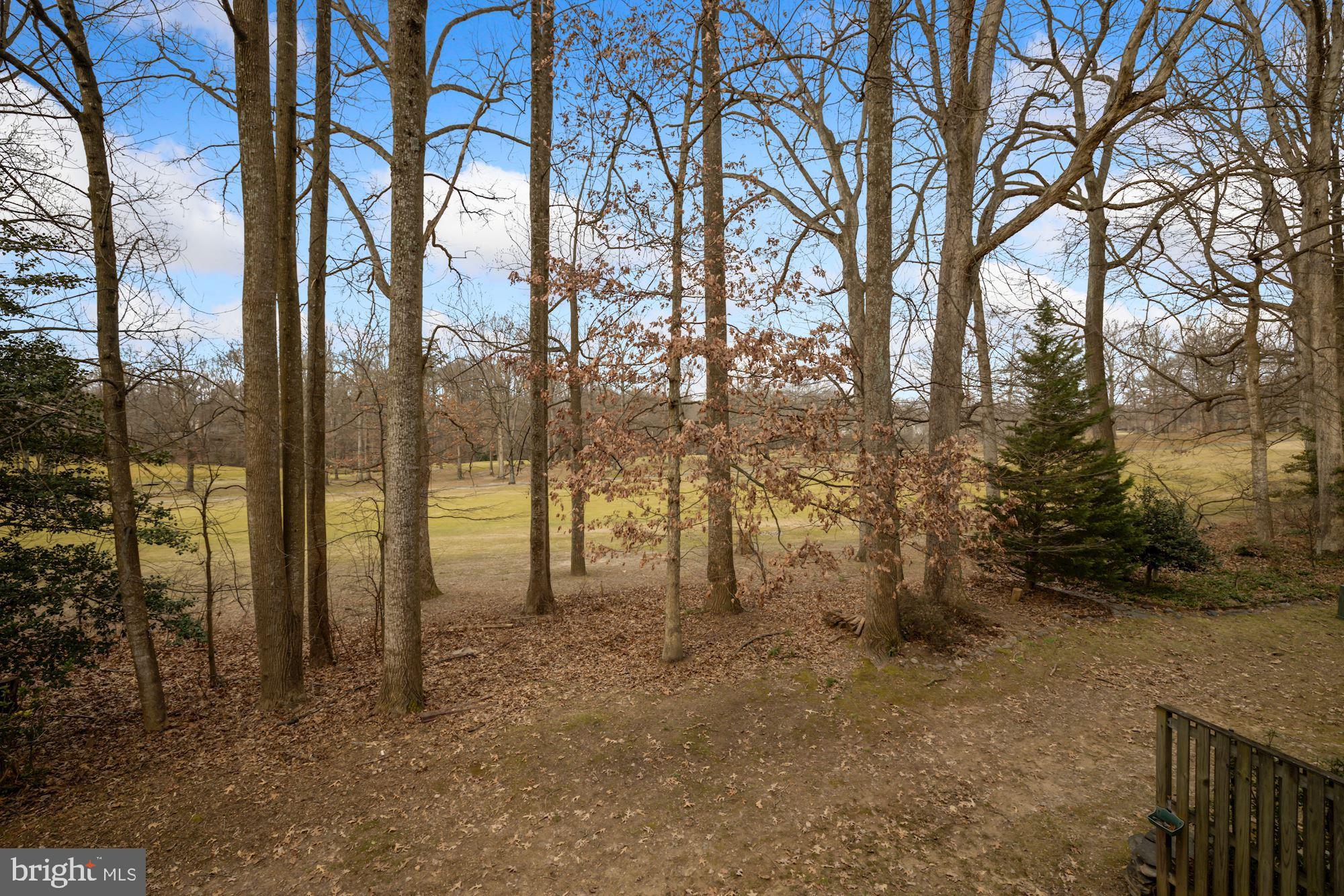 2158 Glencourse Lane Reston, VA 20191 - Photo 26 of 31 Rear view of golf course from deck on main level