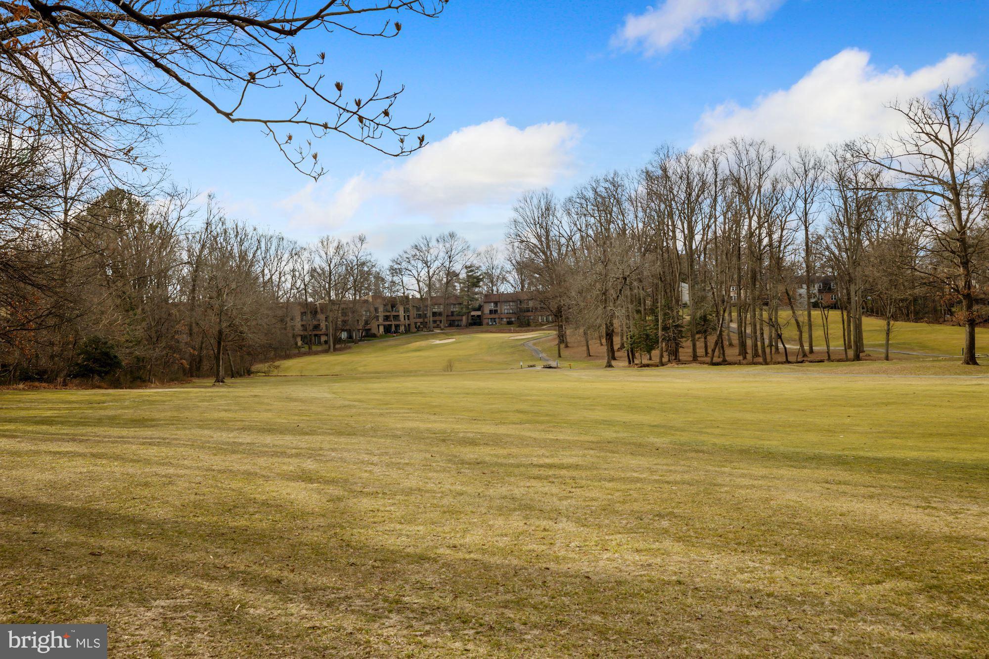 2158 Glencourse Lane Reston, VA 20191 - Photo 27 of 31 Golf course view