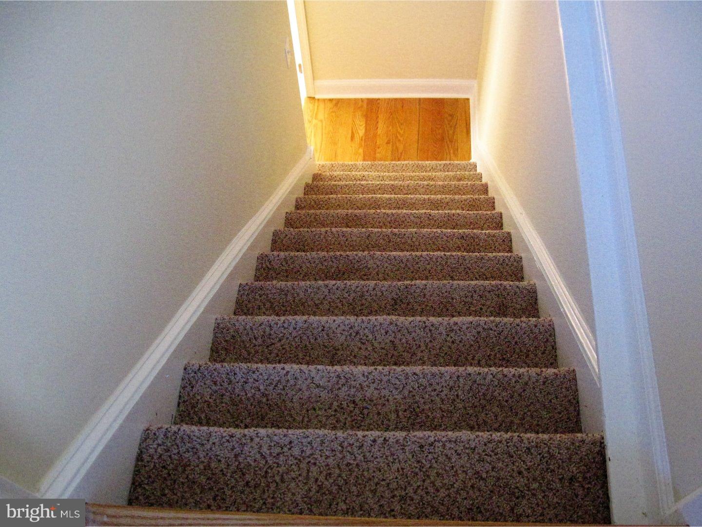 238 East Spring Avenue Ardmore, PA 19003 - Photo 15 of 20 Gallery Image 15