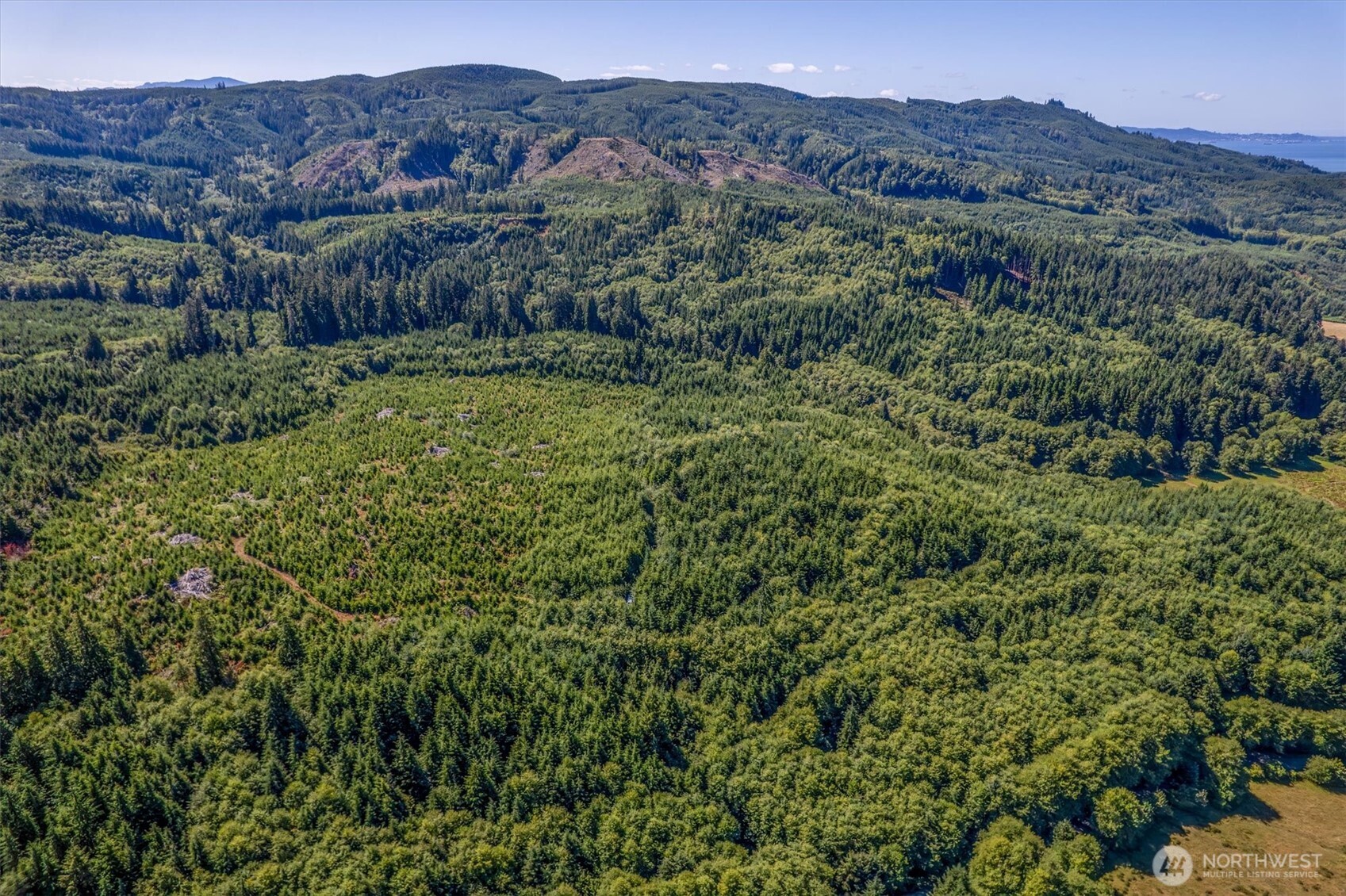 0 Eden Valley Road Rosburg, WA 98643 - Photo 14 of 14