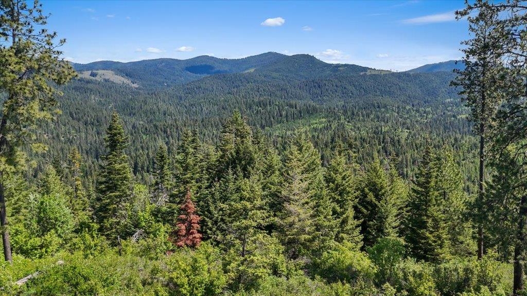 18-xxx East Miner Road Mead, WA 99021 - Photo 6 of 40