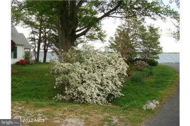 607 Cove Road St. Michaels, MD 21663 - Photo 3 of 28 View