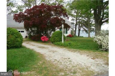 607 Cove Road St. Michaels, MD 21663 - Photo 4 of 28 Foliage