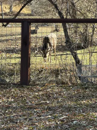 $679,000 | 2 Dale Drive, Lander, WY 82520