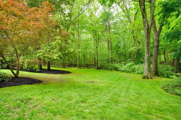 55 Woodridge Road Wayland, MA 01778 - Photo 2 of 39 Gallery Image 2