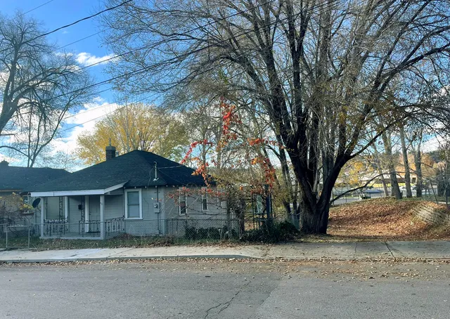 a tree in front of a house with a trees