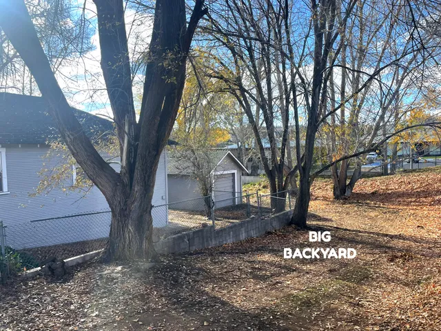 a front view of a house with a yard and large trees