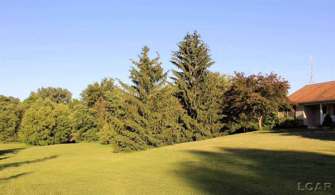 6277 Forrister Road Adrian, MI 49221 - Photo 2 of 68 31350620-1.JPG