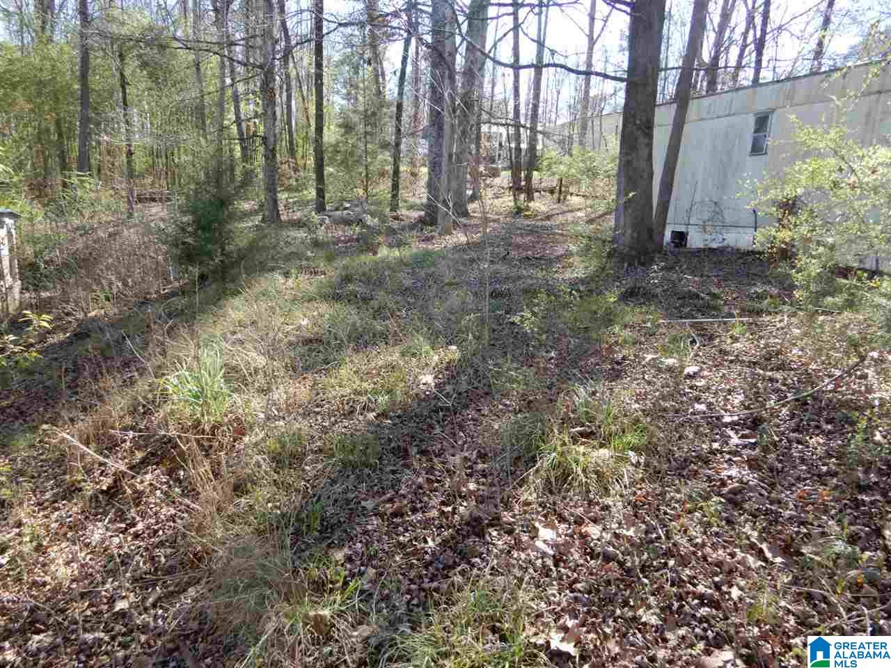 1994 Salem Road Montevallo, AL 35115 - Photo 1 of 13