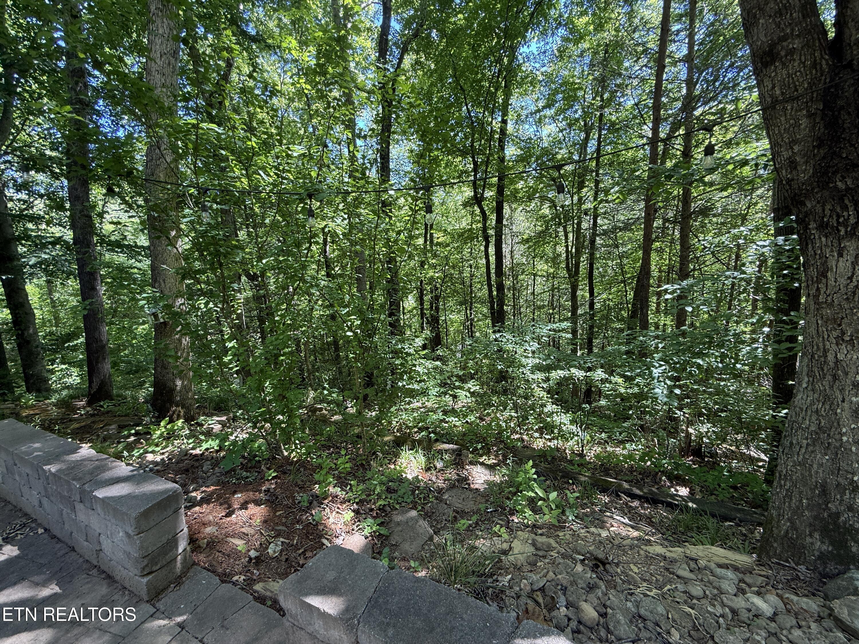 4039 Barb Hollow Road Walland, TN 37886 - Photo 46 of 46 Backyard3