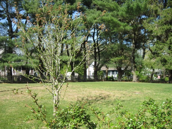 370 Middle Road Acushnet, MA 02743 - Photo 26 of 28 Gallery Image 26