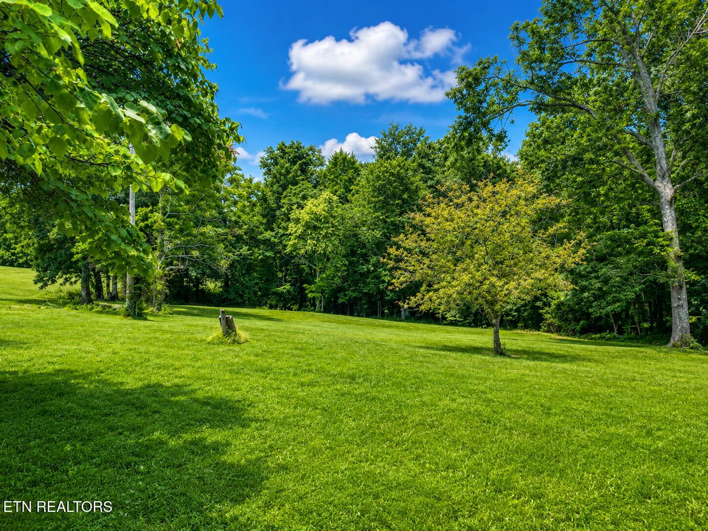 1323 Bee Rock Road Monterey, TN 38574 - Photo 1 of 8 A7109AE3-919B-4543-A159-F70BF1090EE7
