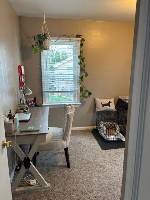565 Riverside Avenue Adrian, MI 49221 - Photo 18 of 23 IMG_6218
