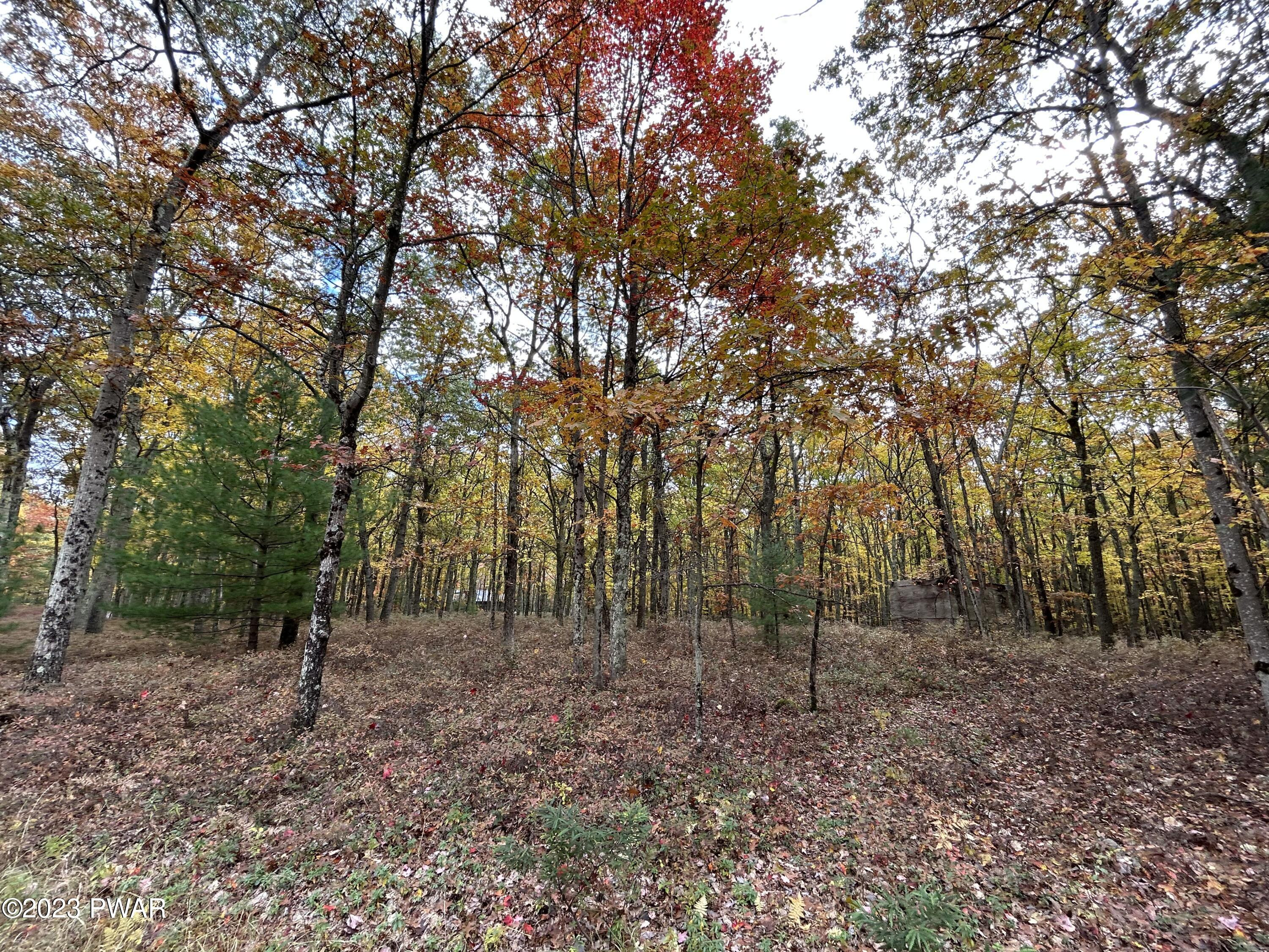 Lot 26 Timber Ridge Drive Hawley, PA 18428 - Photo 7 of 18