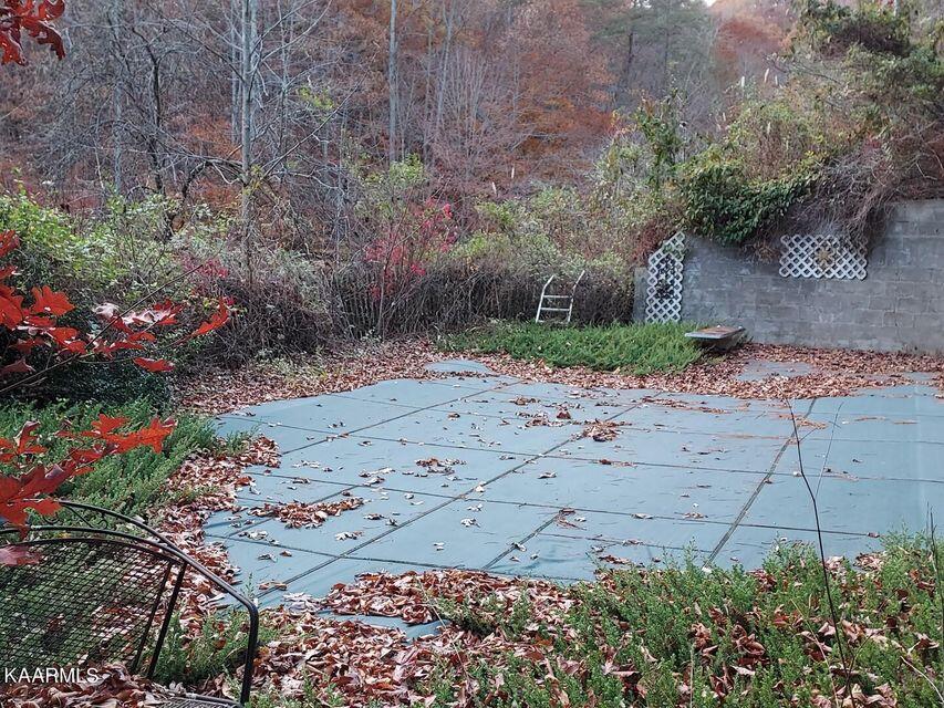 742 Perry Livesay Road Kyles Ford, TN 37765 - Photo 23 of 44 23