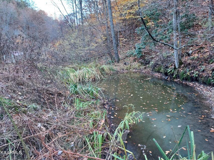 742 Perry Livesay Road Kyles Ford, TN 37765 - Photo 27 of 44 27