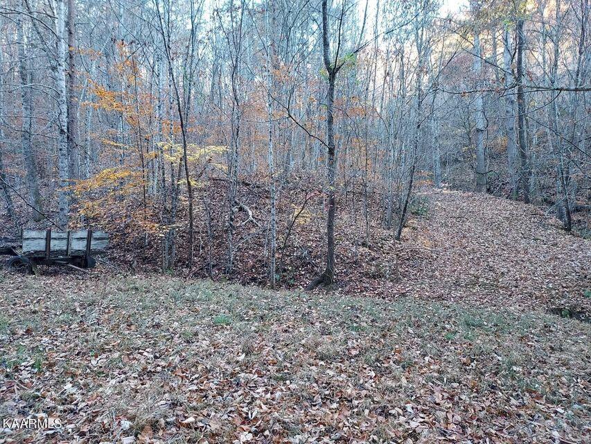 742 Perry Livesay Road Kyles Ford, TN 37765 - Photo 28 of 44 28