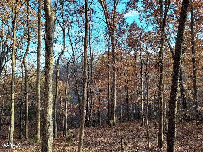 742 Perry Livesay Road Kyles Ford, TN 37765 - Photo 30 of 44 30