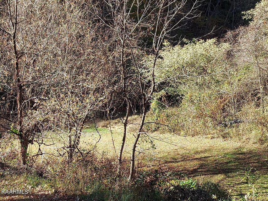 742 Perry Livesay Road Kyles Ford, TN 37765 - Photo 36 of 44 36