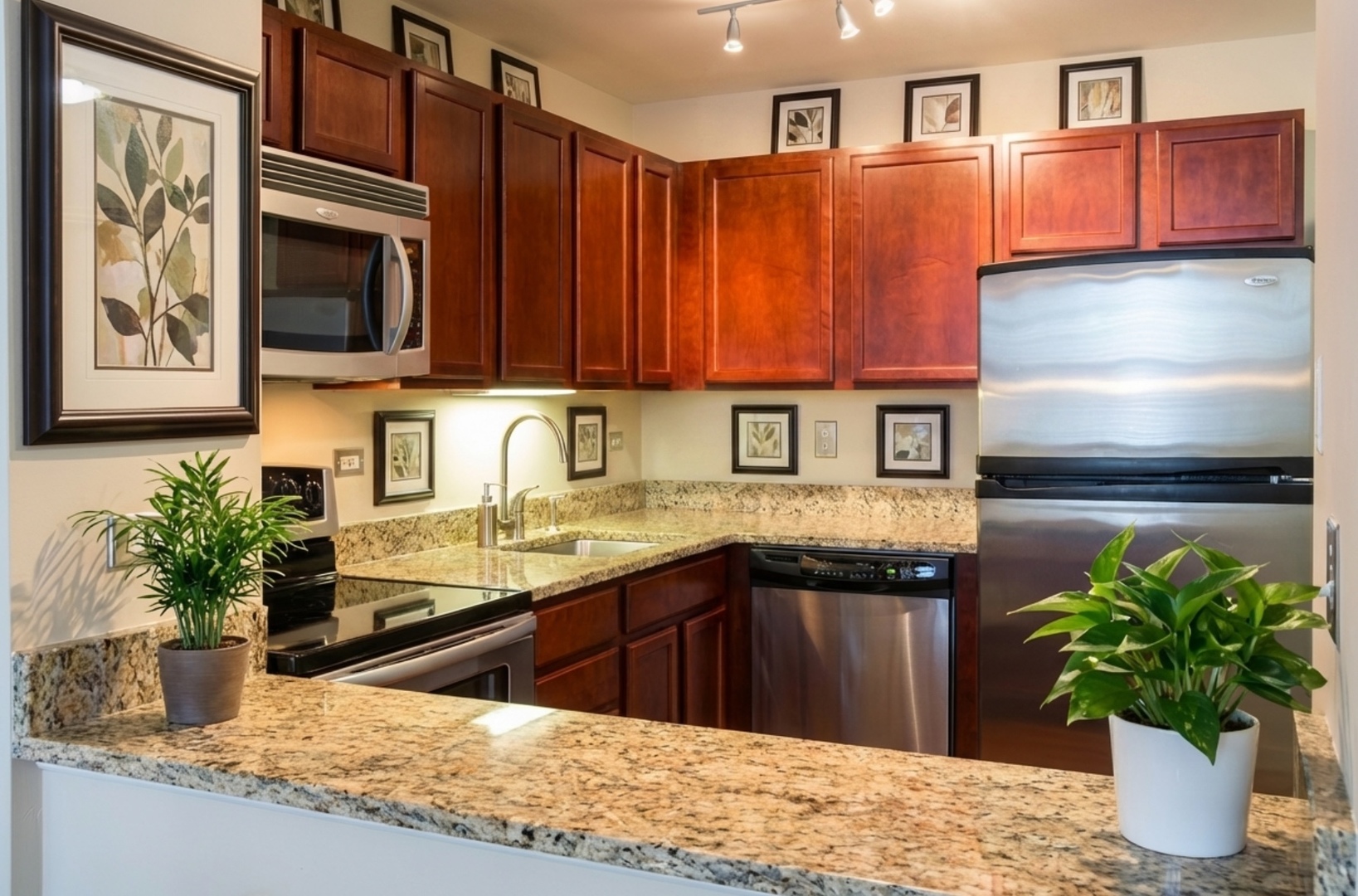 222 East Pearson Street, Unit 503 Chicago, IL 60611 - Photo 4 of 15