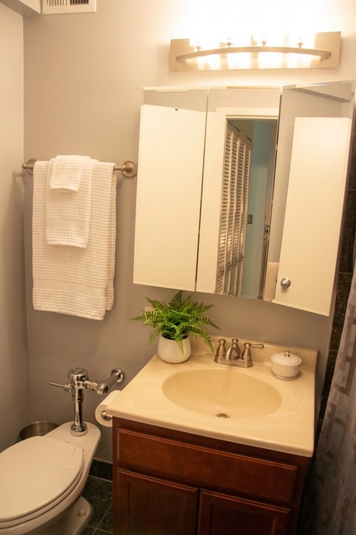 222 East Pearson Street, Unit 503 Chicago, IL 60611 - Photo 9 of 15