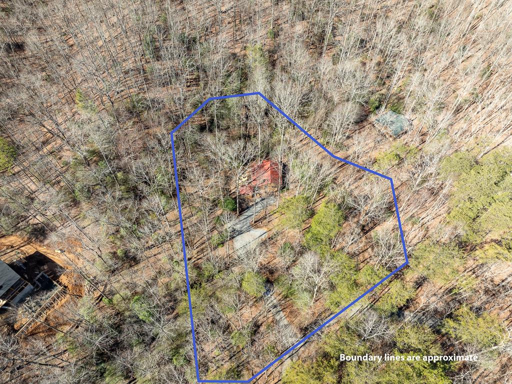 231 Lakeside Drive Blue Ridge, GA 30513 - Photo 11 of 42 Gallery Image 11