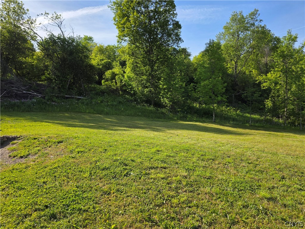 4123 State Rt 28 Herkimer, NY 13350 - Photo 29 of 31