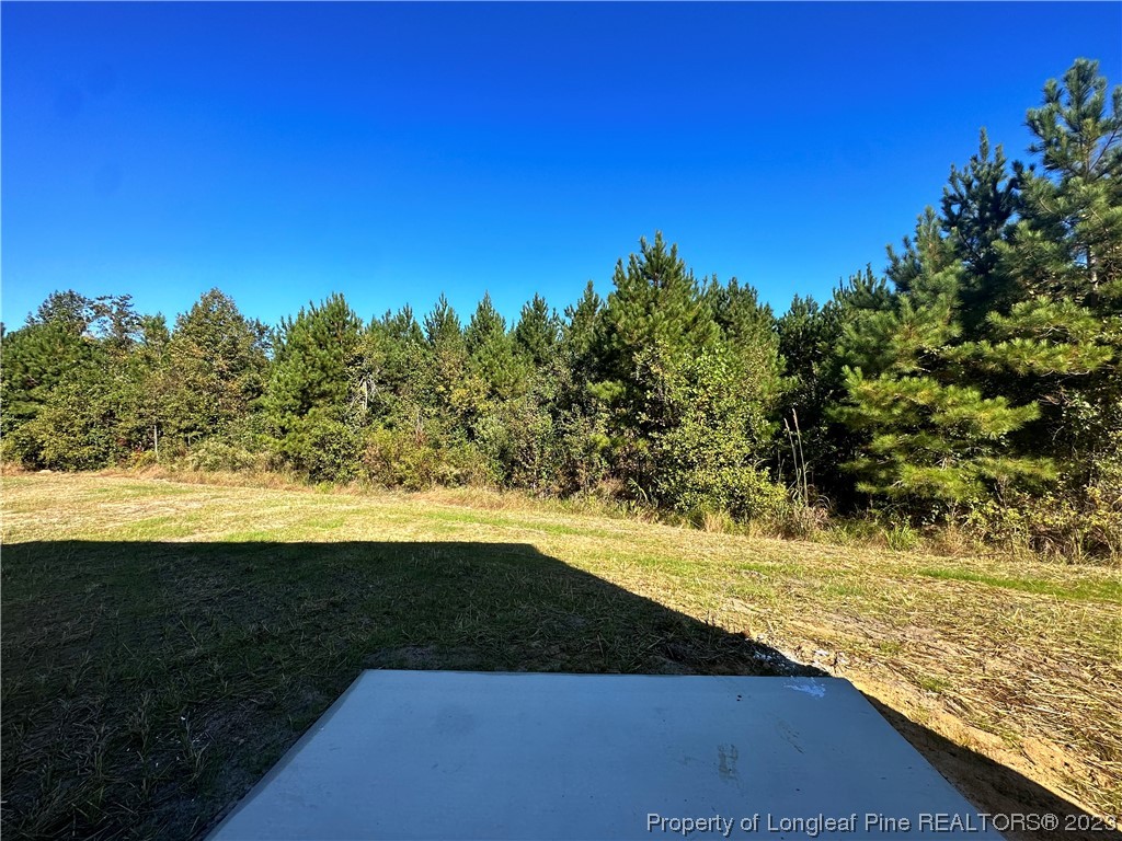757 Britt Road St. Pauls, NC 28384 - Photo 24 of 25 a view of beach and ocean