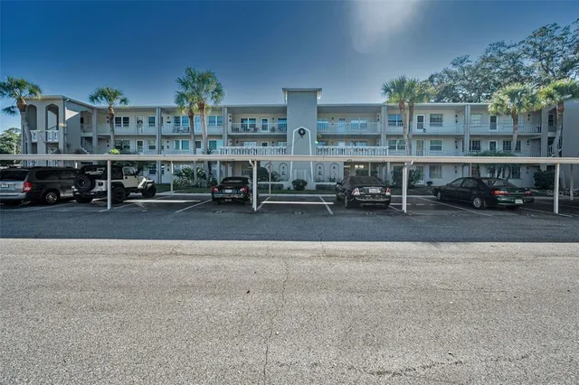 a view of a big yard with plants and large trees