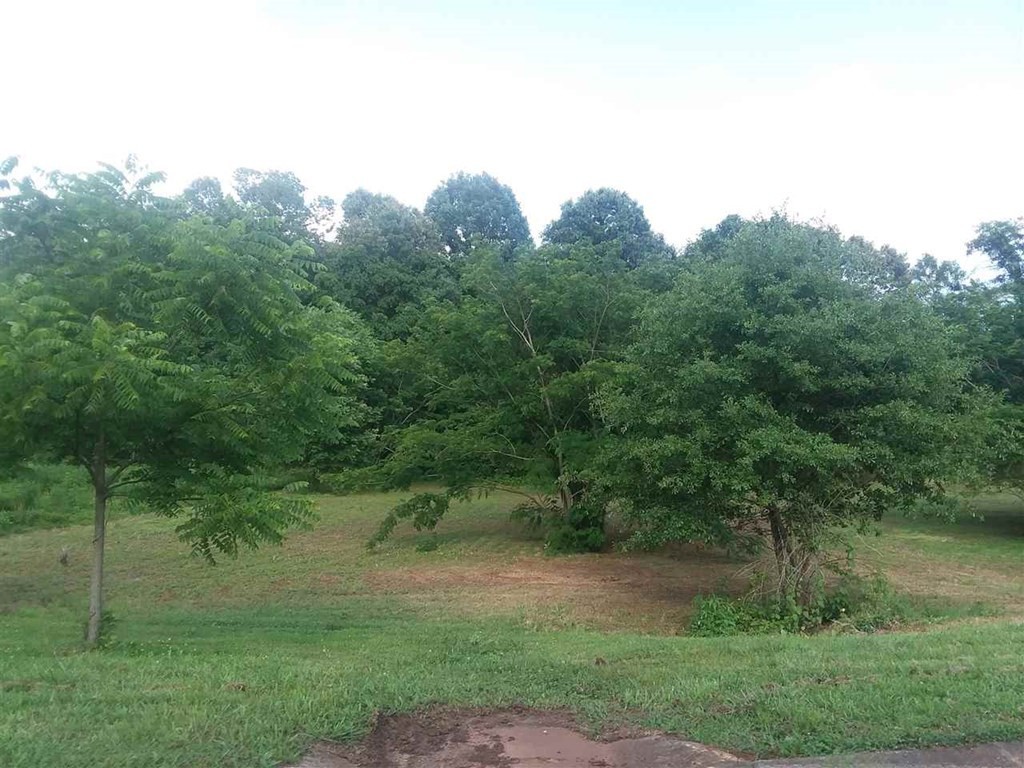 120 Riverside Drive Benton, TN 37307 - Photo 2 of 6 a view of a lake with a yard