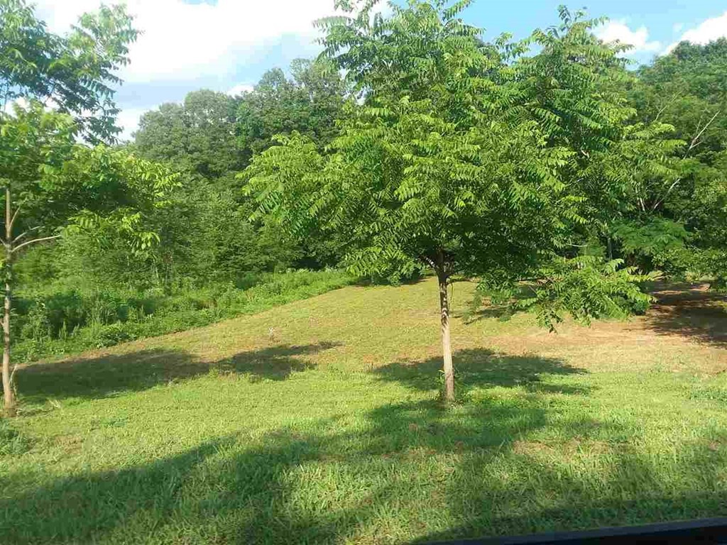 120 Riverside Drive Benton, TN 37307 - Photo 3 of 6 a backyard of a house with lots of green space