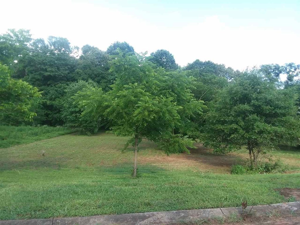 120 Riverside Drive Benton, TN 37307 - Photo 4 of 6 a view of a backyard