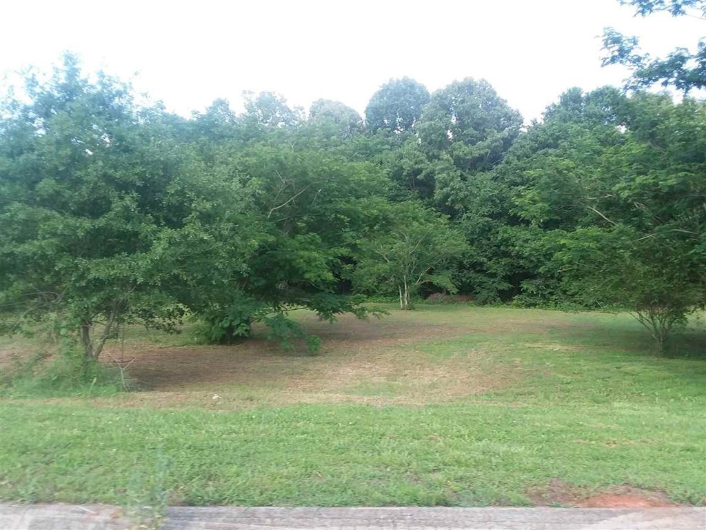 120 Riverside Drive Benton, TN 37307 - Photo 5 of 6 a view of a yard with a tree