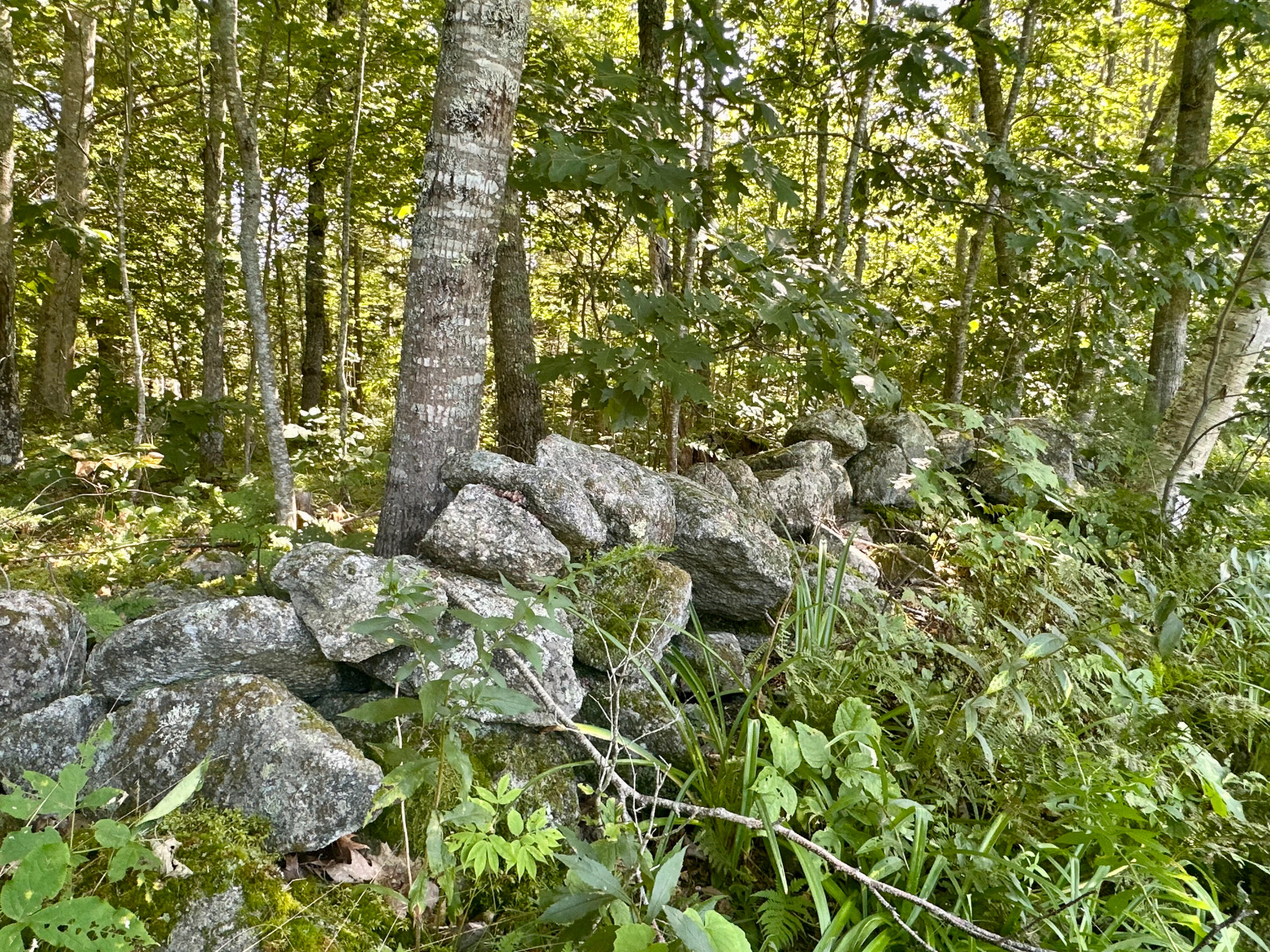 114 George Road Prospect, ME 04981 - Photo 26 of 46 Rock Walls