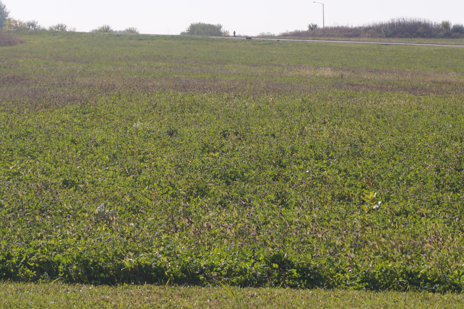 Sec 7 Twp 34n R11e Manhattan, IL 60442 - Photo 2 of 9 a view of a lake with a mountain
