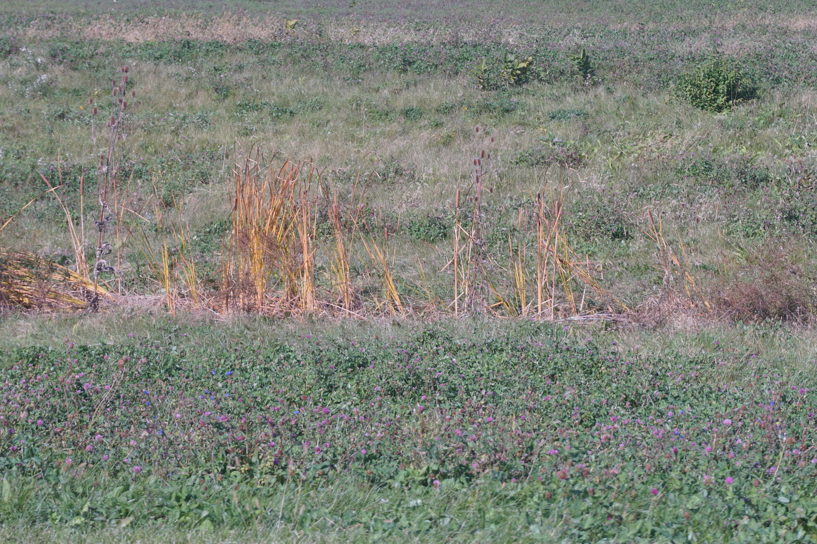 Sec 7 Twp 34n R11e Manhattan, IL 60442 - Photo 4 of 9 a view of a dry field