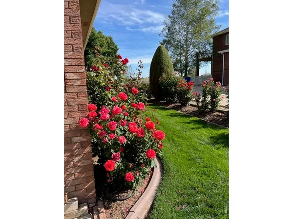 a view of a small house with a yard