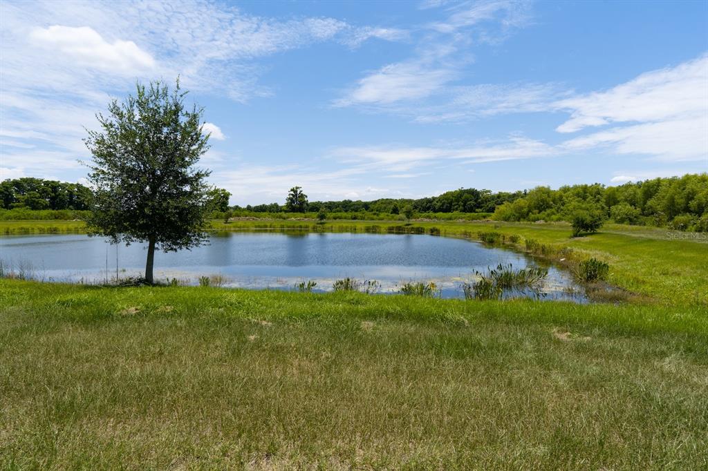 1456 Isleta Loop Kissimmee, FL 34741 - Photo 41 of 57
