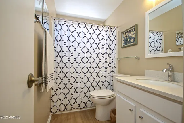 a bathroom with a sink and a toilet
