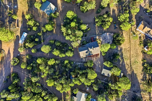 a view of a garden with plants