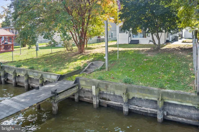 a view of backyard with trees