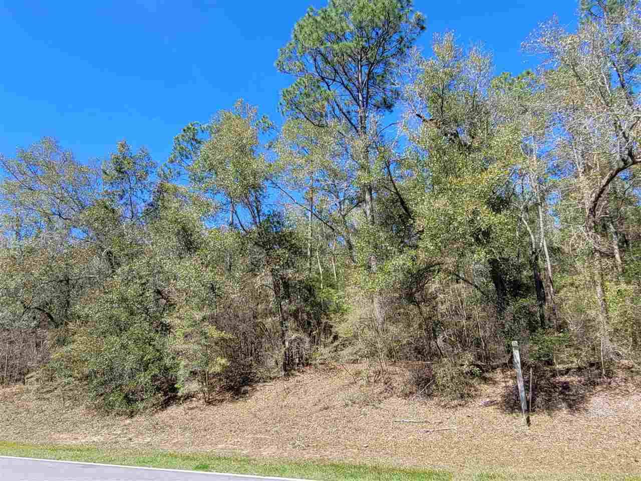 Lot 2 Tram Road Tallahassee, FL 32311 - Photo 1 of 12 Gallery Image 1