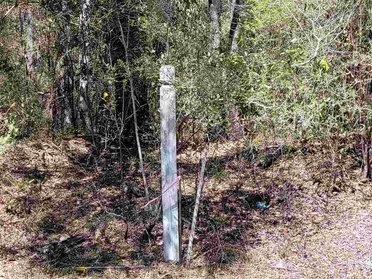 Lot 2 Tram Road Tallahassee, FL 32311 - Photo 4 of 12 Gallery Image 4