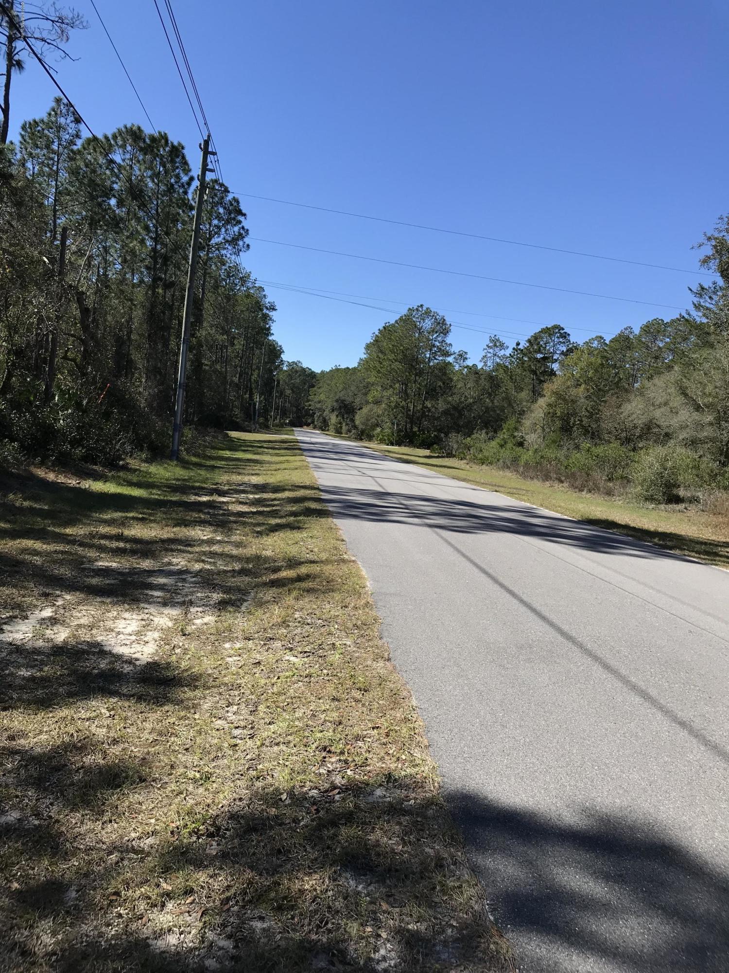 202 Whispering Pines Road Georgetown, FL 32139 - Photo 2 of 7 a view of a yard