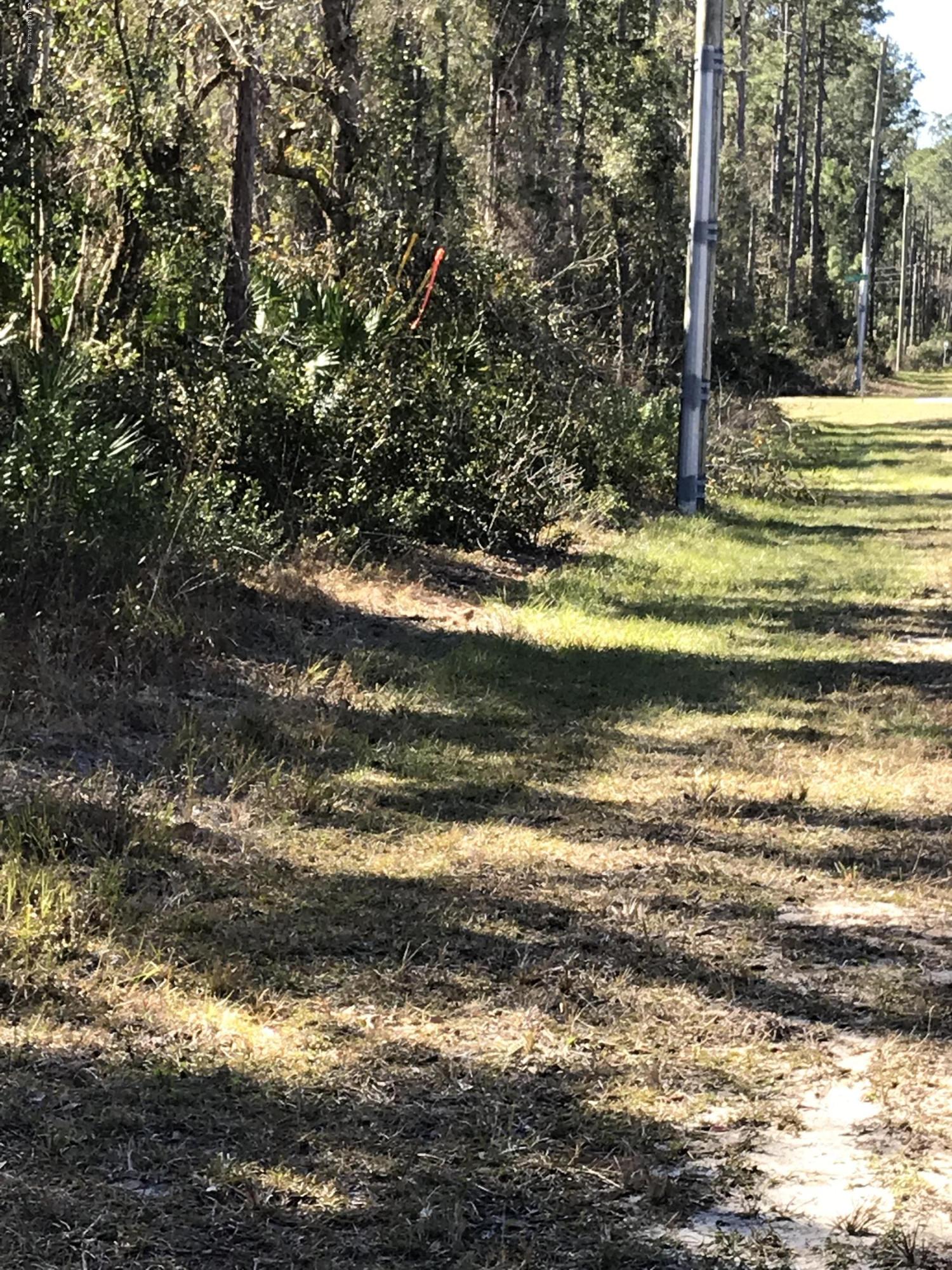 202 Whispering Pines Road Georgetown, FL 32139 - Photo 3 of 7 a view of a yard with a house