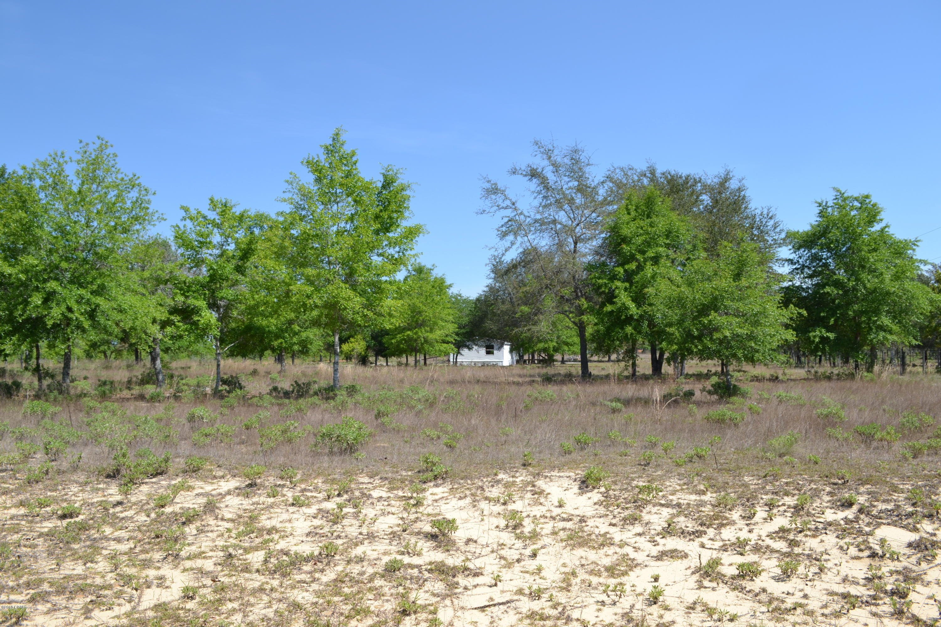 9907 Brown Road Fountain, FL 32438 - Photo 8 of 11 Gallery Image 8